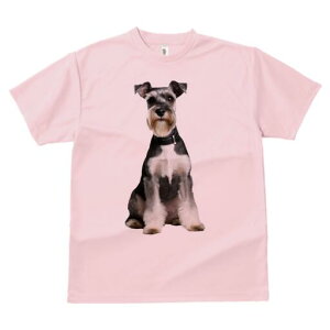 ~j`AViEU[ TVc fB[X t@  t  vg JWA 킢 lԗp h ̃fUC ʔ  ~j`AViEU[