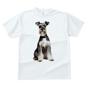 ~j`AViEU[ TVc fB[X t@  t  vg JWA 킢 lԗp h ̃fUC ʔ  ~j`AViEU[