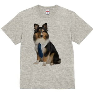 VFbghV[vhbO TVc fB[X t@  t  vg JWA 킢 lԗp h ̃fUC ʔ lN^C VFbghV[vhbO V