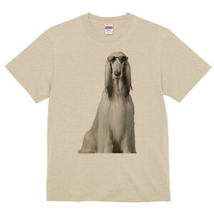 AtKnEh TVc fB[X t@  t  vg JWA 킢 lԗp h ̃fUC ʔ TOX AtKnEh