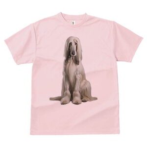 AtKnEh TVc fB[X t@  t  vg JWA 킢 lԗp h ̃fUC ʔ AtKnEh