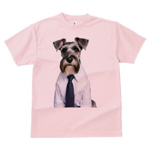 ~j`AViEU[ TVc fB[X t@  t  vg JWA 킢 lԗp h ̃fUC ʔ CVc ~j`AViEU[ lN^C