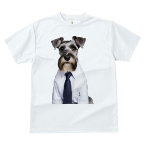 ~j`AViEU[ TVc fB[X t@  t  vg JWA 킢 lԗp h ̃fUC ʔ CVc ~j`AViEU[ lN^C