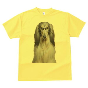 AtKnEh TVc fB[X t@  t  vg JWA 킢 lԗp h ̃fUC ʔ Kl AtKnEh