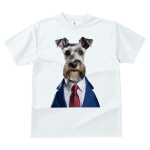 ~j`AViEU[ TVc fB[X t@  t  vg JWA 킢 lԗp h ̃fUC ʔ X[c ~j`AViEU[ lN^C C