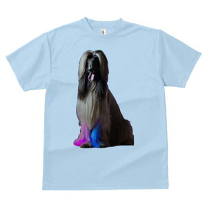 AtKnEh TVc fB[X t@  t  vg JWA 킢 lԗp h ̃fUC ʔ AtKnEh