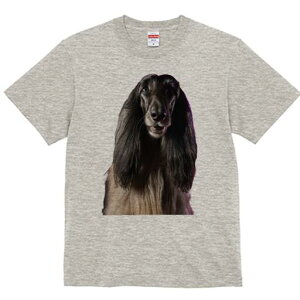 AtKnEh TVc fB[X t@  t  vg JWA 킢 lԗp h ̃fUC ʔ AtKnEh