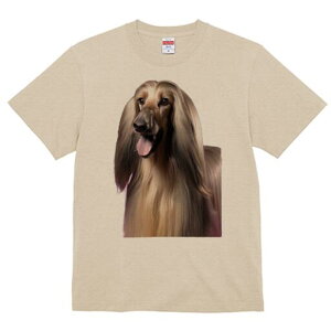 AtKnEh TVc fB[X t@  t  vg JWA 킢 lԗp h ̃fUC ʔ AtKnEh