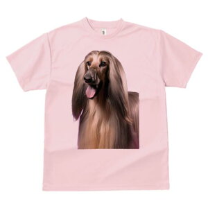 AtKnEh TVc fB[X t@  t  vg JWA 킢 lԗp h ̃fUC ʔ AtKnEh