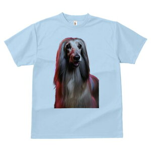 AtKnEh TVc fB[X t@  t  vg JWA 킢 lԗp h ̃fUC ʔ wAX^C AtKnEh e