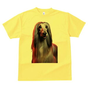 AtKnEh TVc fB[X t@  t  vg JWA 킢 lԗp h ̃fUC ʔ wAX^C AtKnEh e