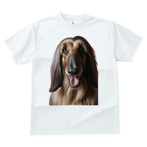 AtKnEh TVc fB[X t@  t  vg JWA 킢 lԗp h ̃fUC ʔ  AtKnEh ybg 