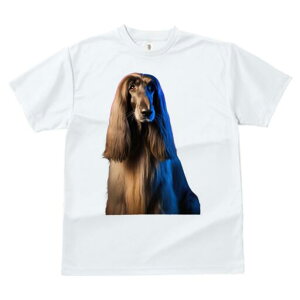 AtKnEh TVc fB[X t@  t  vg JWA 킢 lԗp h ̃fUC ʔ GKg AtKnEh  t@bV S