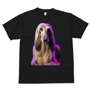 AtKnEh TVc fB[X t@  t  vg JWA 킢 lԗp h ̃fUC ʔ AtKnEh