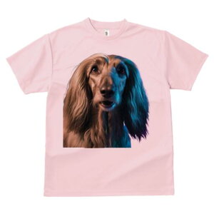 AtKnEh TVc fB[X t@  t  vg JWA 킢 lԗp h ̃fUC ʔ AtKnEh