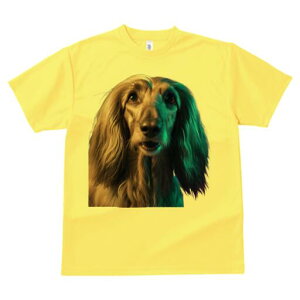 AtKnEh TVc fB[X t@  t  vg JWA 킢 lԗp h ̃fUC ʔ AtKnEh