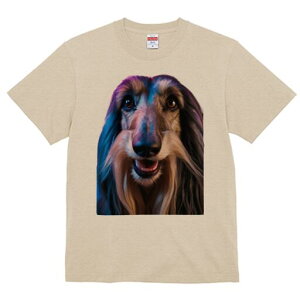 AtKnEh TVc fB[X t@  t  vg JWA 킢 lԗp h ̃fUC ʔ AtKnEh