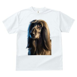 AtKnEh TVc fB[X t@  t  vg JWA 킢 lԗp h ̃fUC ʔ AtKnEh