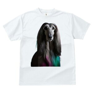 AtKnEh TVc fB[X t@  t  vg JWA 킢 lԗp h ̃fUC ʔ AtKnEh