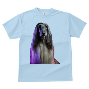 AtKnEh TVc fB[X t@  t  vg JWA 킢 lԗp h ̃fUC ʔ AtKnEh