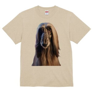 AtKnEh TVc fB[X t@  t  vg JWA 킢 lԗp h ̃fUC ʔ AtKnEh