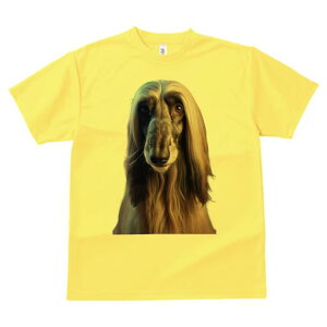 AtKnEh TVc fB[X t@  t  vg JWA 킢 lԗp h ̃fUC ʔ AtKnEh