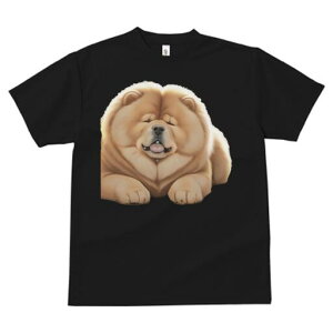 `E`E TVc fB[X t@  t  vg JWA 킢 lԗp h ̃fUC ʔ ӂӂ `E`E 킢  ʂ