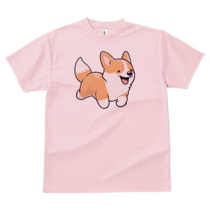 R[M[ TVc fB[X t@  t  vg JWA 킢 lԗp h ̃fUC ʔ 킢 R[M[ CXg 