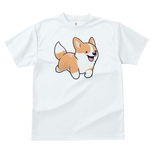 R[M[ TVc fB[X t@  t  vg JWA 킢 lԗp h ̃fUC ʔ 킢 R[M[ CXg 