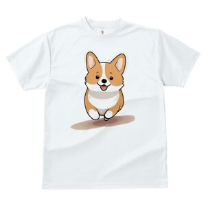 R[M[ TVc fB[X t@  t  vg JWA 킢 lԗp h ̃fUC ʔ R[M[