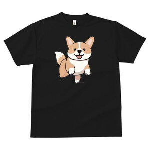 R[M[ TVc fB[X t@  t  vg JWA 킢 lԗp h ̃fUC ʔ R[M[