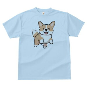 R[M[ TVc fB[X t@  t  vg JWA 킢 lԗp h ̃fUC ʔ R[M[