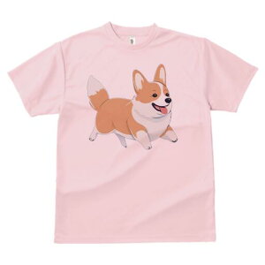 R[M[ TVc fB[X t@  t  vg JWA 킢 lԗp h ̃fUC ʔ R[M[