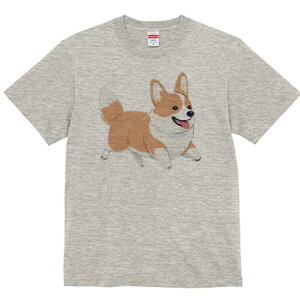 R[M[ TVc fB[X t@  t  vg JWA 킢 lԗp h ̃fUC ʔ R[M[