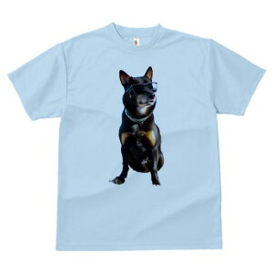 Č TVc fB[X t@  t  vg JWA 킢 lԗp h ̃fUC ʔ TOX Č 