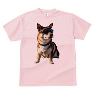 Č TVc fB[X t@  t  vg JWA 킢 lԗp h ̃fUC ʔ TOX Č