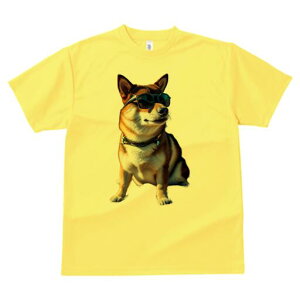 Č TVc fB[X t@  t  vg JWA 킢 lԗp h ̃fUC ʔ TOX Č