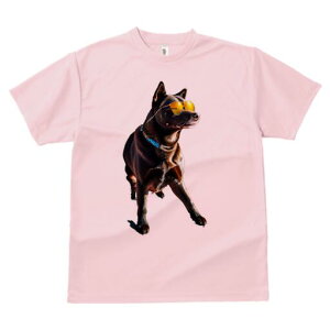 ^CbWobN TVc fB[X t@  t  vg JWA 킢 lԗp h ̃fUC ʔ TOX ^CbWobN 