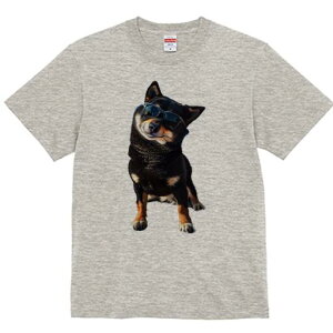 Č TVc fB[X t@  t  vg JWA 킢 lԗp h ̃fUC ʔ TOX Č