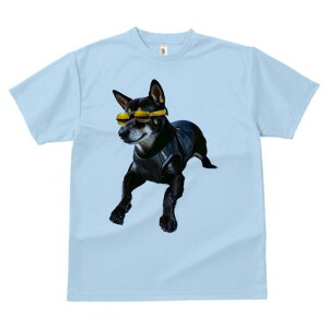 Č TVc fB[X t@  t  vg JWA 킢 lԗp h ̃fUC ʔ TOX Č n[lX