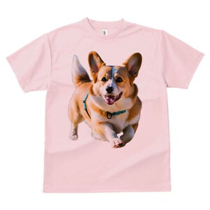 R[M[ TVc fB[X t@  t  vg JWA 킢 lԗp h ̃fUC ʔ  R[M[ ybg n[lX Ί