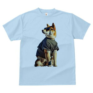 Č TVc fB[X t@  t  vg JWA 킢 lԗp h ̃fUC ʔ TOX Č 