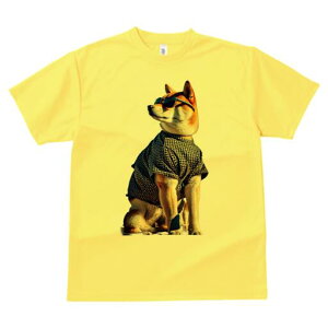 Č TVc fB[X t@  t  vg JWA 킢 lԗp h ̃fUC ʔ TOX Č 