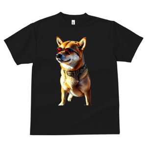 Č TVc fB[X t@  t  vg JWA 킢 lԗp h ̃fUC ʔ TOX Č 