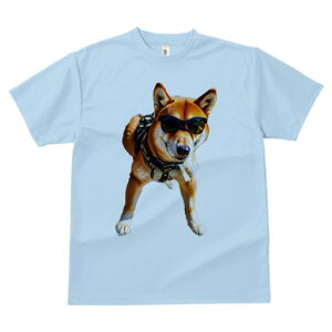 Č TVc fB[X t@  t  vg JWA 킢 lԗp h ̃fUC ʔ TOX Č n[lX