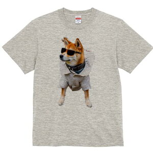 Č TVc fB[X t@  t  vg JWA 킢 lԗp h ̃fUC ʔ TOX Č Vc t@bV