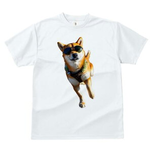 Č TVc fB[X t@  t  vg JWA 킢 lԗp h ̃fUC ʔ TOX Č n[lX