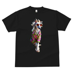 AtKnEh TVc fB[X t@  t  vg JWA 킢 lԗp h ̃fUC ʔ AnVc AtKnEh TOX