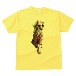 AtKnEh TVc fB[X t@  t  vg JWA 킢 lԗp h ̃fUC ʔ AnVc AtKnEh TOX