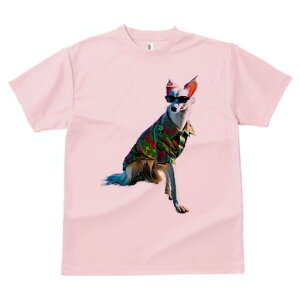 {]C TVc fB[X t@  t  vg JWA 킢 lԗp h ̃fUC ʔ AnVc {]C TOX